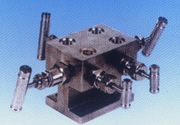 1151 Five series valve