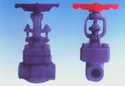 Female thread Frange type wedge type inserting & welding