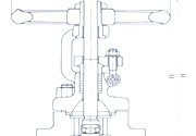 Female thread wedge type gate valve